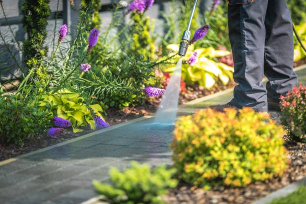 Best Patio and Deck Pressure Washing  in Darlington, WI
