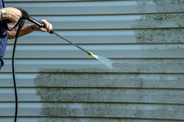 Best Gutter Cleaning  in Darlington, WI